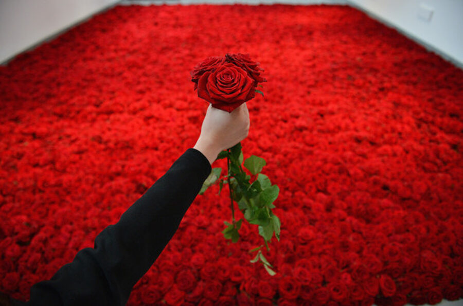 1000000 roses#514